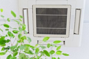 Indoor Air Quality In Easton, MD, And Surrounding Areas - Tidewater Heating & Cooling